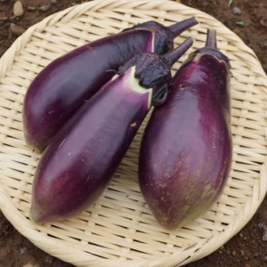 【土曜出荷：出荷先制限】甘くてとろとろ『えんぴつ茄子』 (9本程度)