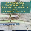 [１日１名様限定]発送日に収穫した太い方から1キロ詰め&おまけ付き