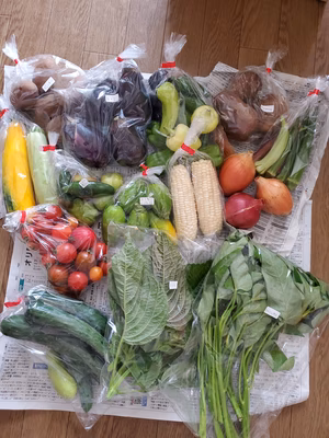 みんなの投稿の画像