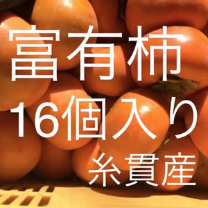 甘さたっぷり‼️早生富有柿16個入り⭐️産地直送