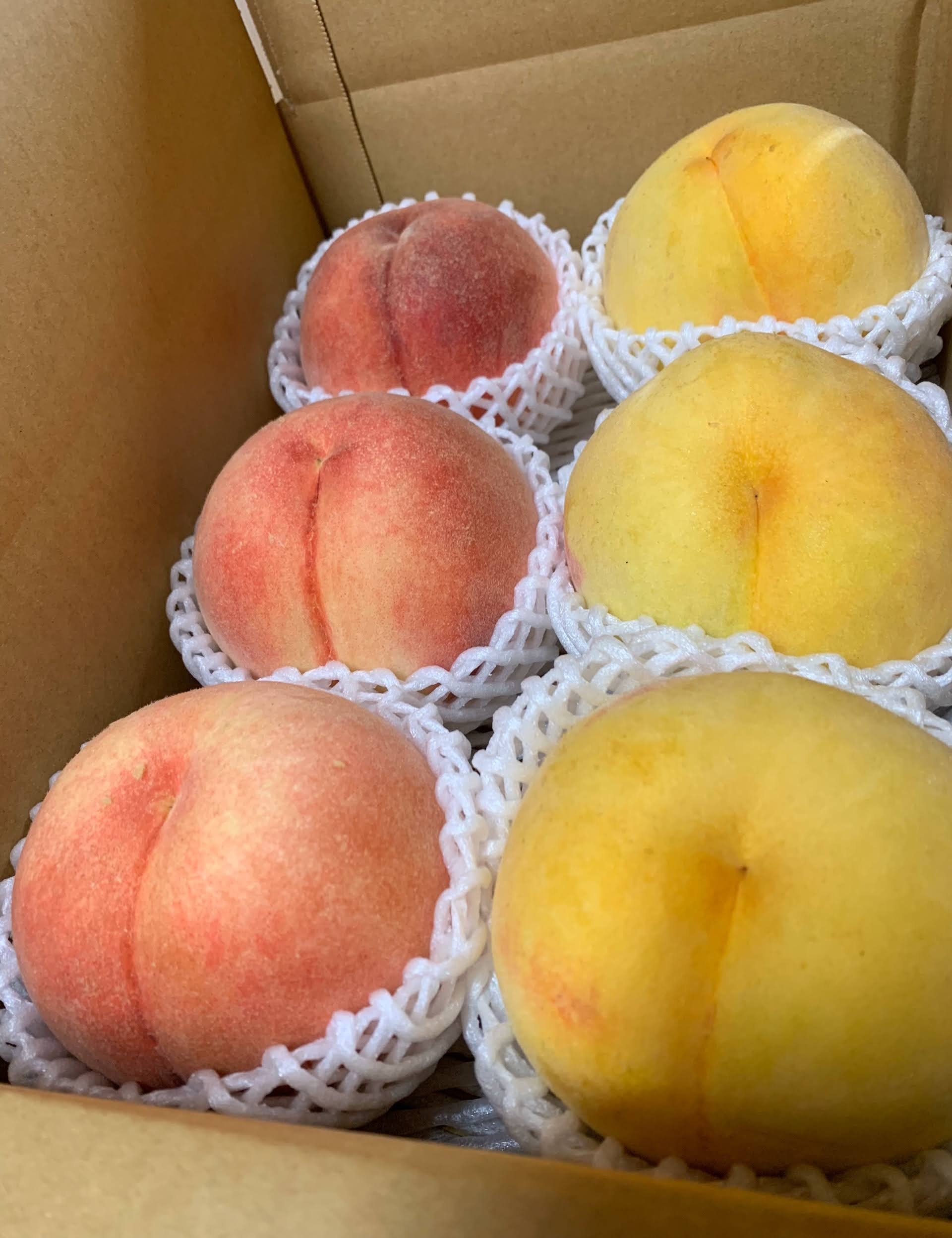 [贅沢2種詰め合わせ!!]化粧箱2.2kg 2.2kg(約4-8玉)