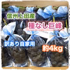 9月上旬【信州上田産ぶどう・種なし巨峰】訳あり自家用約4kg(10〜14房)