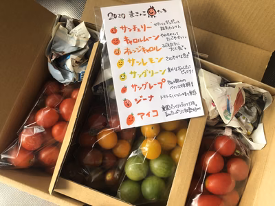 みんなの投稿の画像