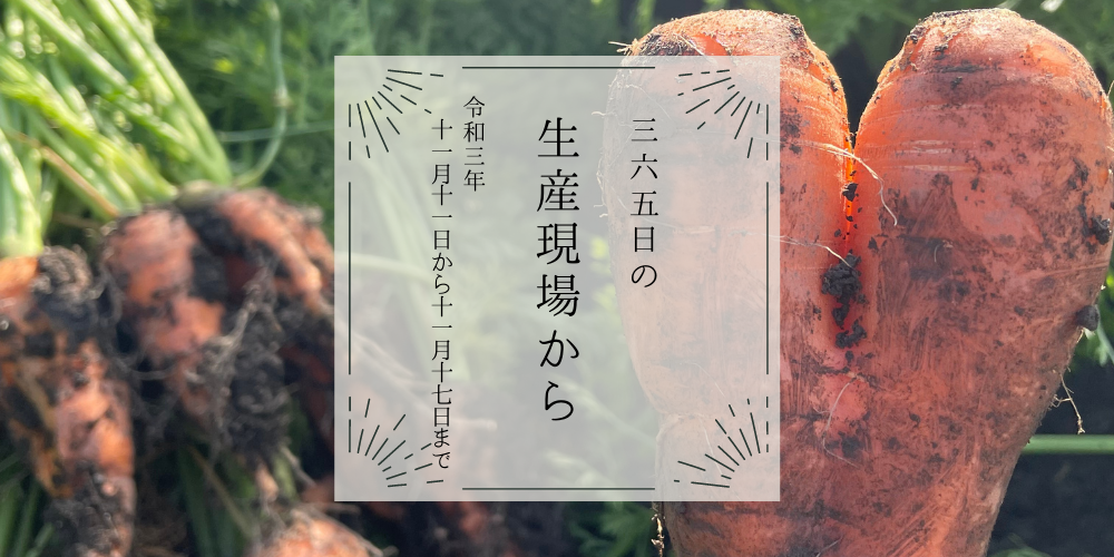高知県でハート型にんじんが出土❤️｜11月11〜17日の生産現場から、今週の31投稿！ | 農家漁師から産地直送の通販 ポケットマルシェ
