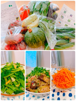 みんなの投稿の画像