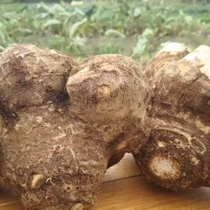 【❗縁起物❗】数量限定 ばぁばのモノスゴイ八つ頭いも