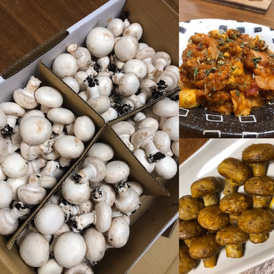 みんなの投稿の画像