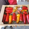 【あっか様限定】フルーツパプリカ1,2㎏＋おまけトマト×2種つき