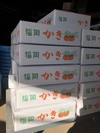 福岡県うきはの富有柿 ご家庭用3kg（12玉から15玉）