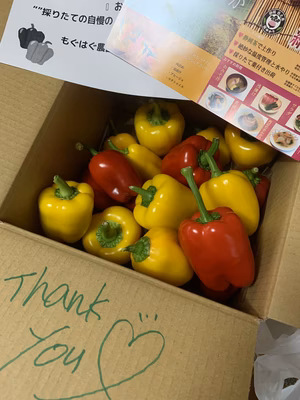 みんなの投稿の画像