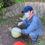 吉澤 勉 | よこちょうファーム