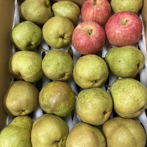 超お得用　ラ•フランス　10キロバラ詰　約50〜60個位