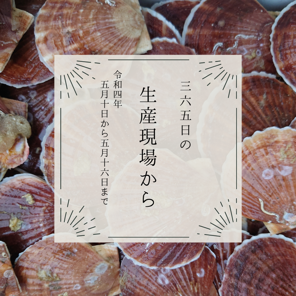 5月10 16日の生産現場から 小満の37投稿 農家漁師から産地直送の通販 ポケットマルシェ