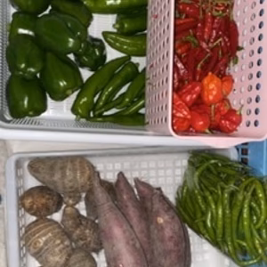 今夜限り❣️ハロウィーンタイムセール　野菜セット