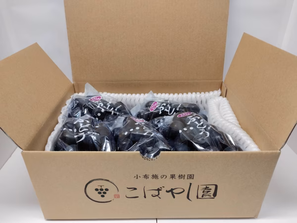 訳あり　ナガノパープル 2kg(4〜6房)