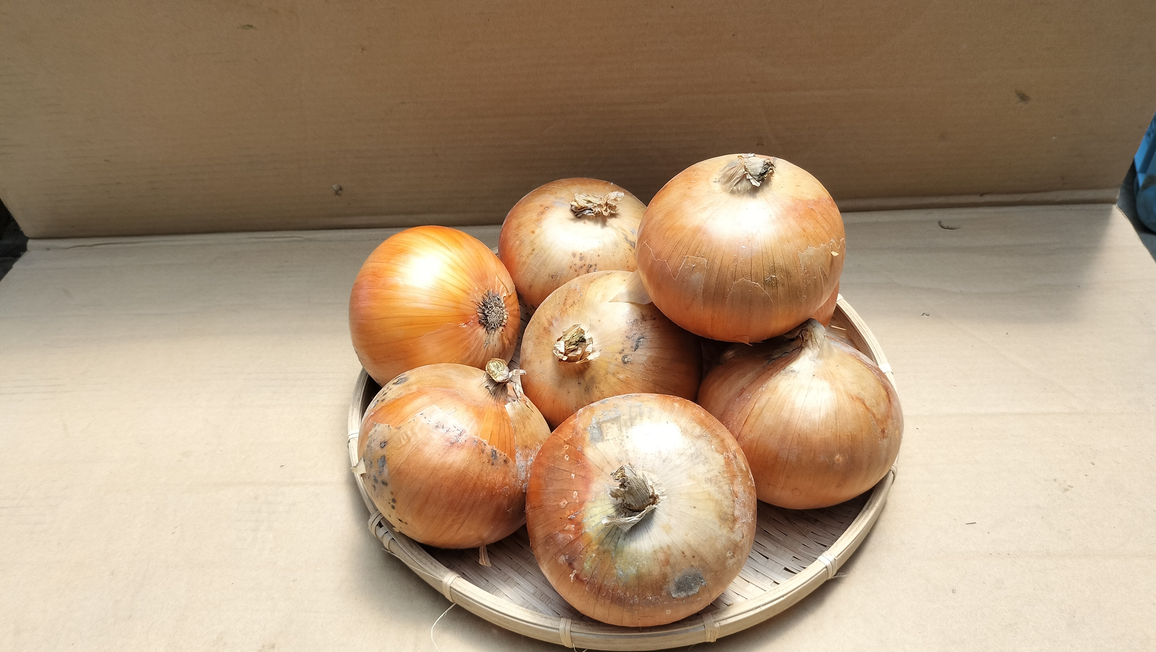 [農家直送]焼いて甘い!淡路島産 大玉玉ねぎ ターザン 箱込10㌔