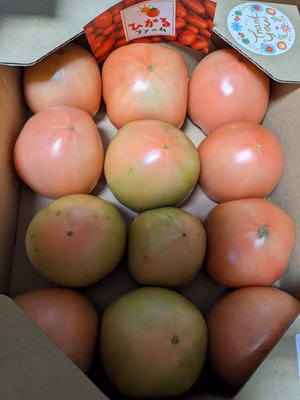 みんなの投稿の画像