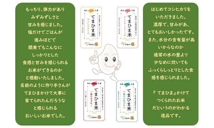【新米】令和5年産　柔らかもっちり『てまひま米』彩のかがやき　小粒米　精米４㎏~