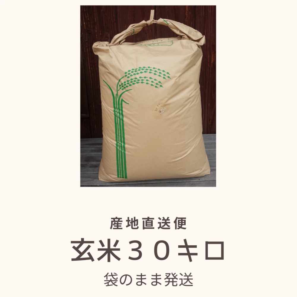 新米＊一等米【送料無料】令和4年岡山県産ミルキークイーン30㎏玄米（精米可）