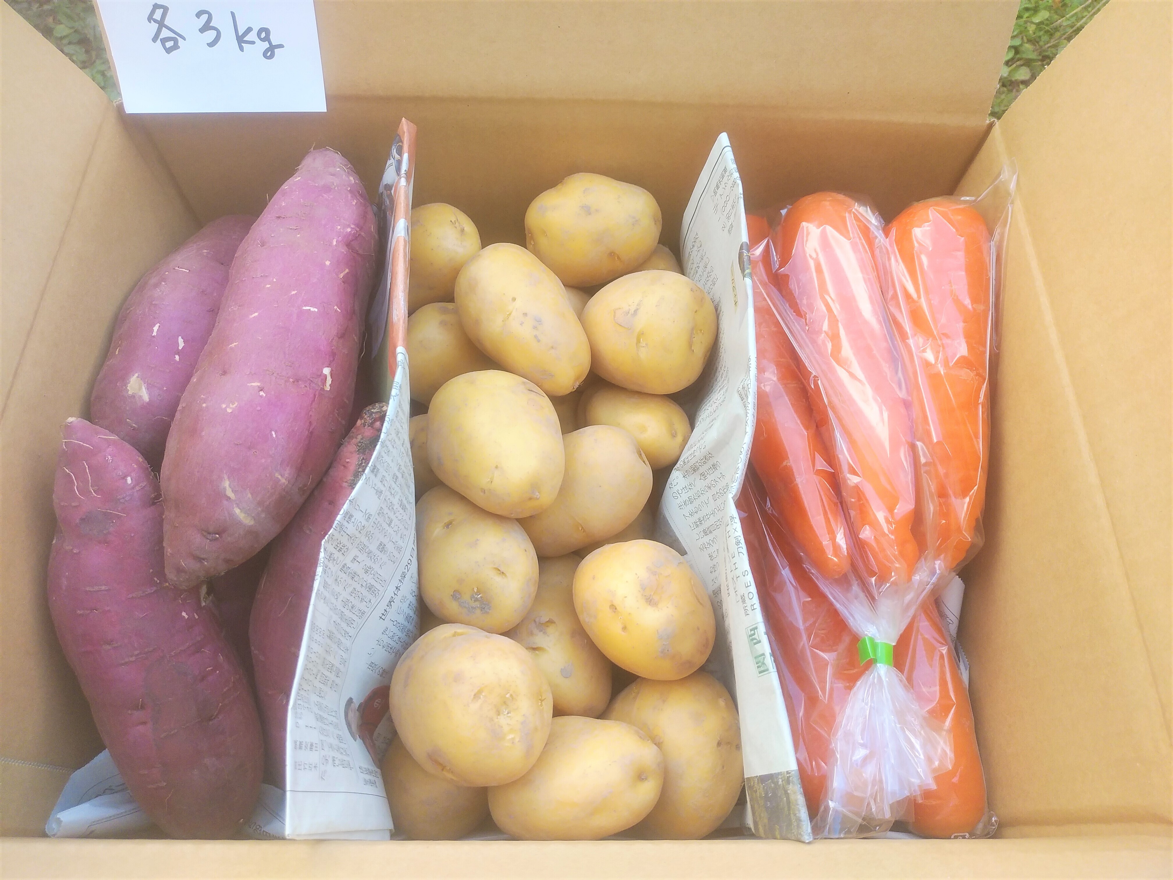 ながさき黄金の産直通販・お取り寄せ商品｜ポケットマルシェ