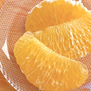 ぷりぷり！早生八朔