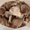 【本日のワケあり原木しいたけ】ダメしい（※クレームなしでご購入くださる方限定）