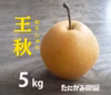 [予約数量限定]鳥取県_王秋(おうしゅう)梨_５キロ箱(8-12玉入)