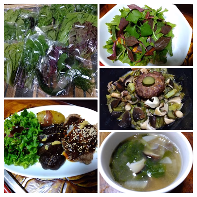 みんなの投稿の画像