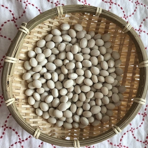 白インゲン豆