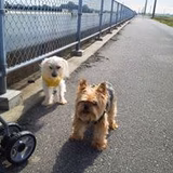 さとう じゅんこ