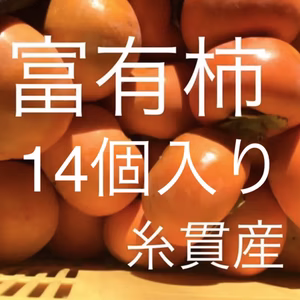 甘さあふれる‼️富有柿L14個入り⭐️産地直送