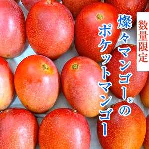 【希少】沖縄県産 燦々マンゴー『ポケットマンゴー』６玉入り