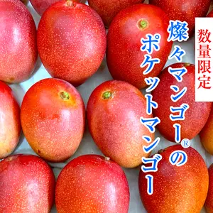 【希少】沖縄県産 燦々マンゴー『ポケットマンゴー』６玉入り