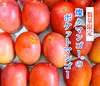 【希少】沖縄県産 燦々マンゴー『ポケットマンゴー』６玉入り