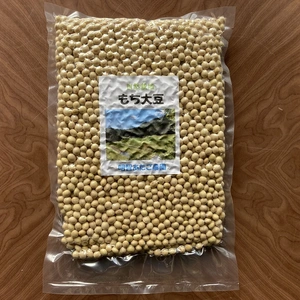 自然栽培　大豆（もち大豆）500g　令和5年　岐阜県産　クリポス対応