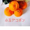 最終1箱 小玉デコポン！酸味がアクセント！