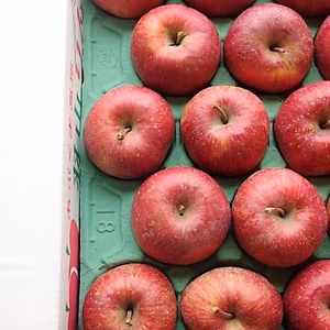 かぐや姫印　特別栽培完熟サンふじ羽山りんごLサイズ５ｋｇ