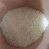 （早期米）令和4年産新米コシヒカリ　宮崎県産　乾式無洗米　農家からの直送米
