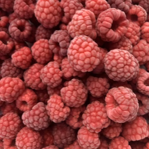 【訳アリ】北海道産ラズベリー1000ｇ&大粒ブルーベリー500×2