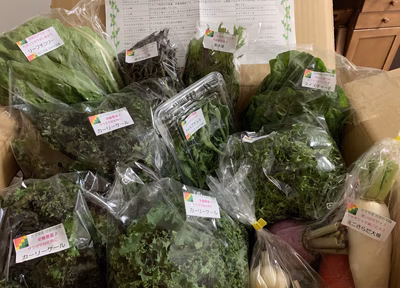 みんなの投稿の画像