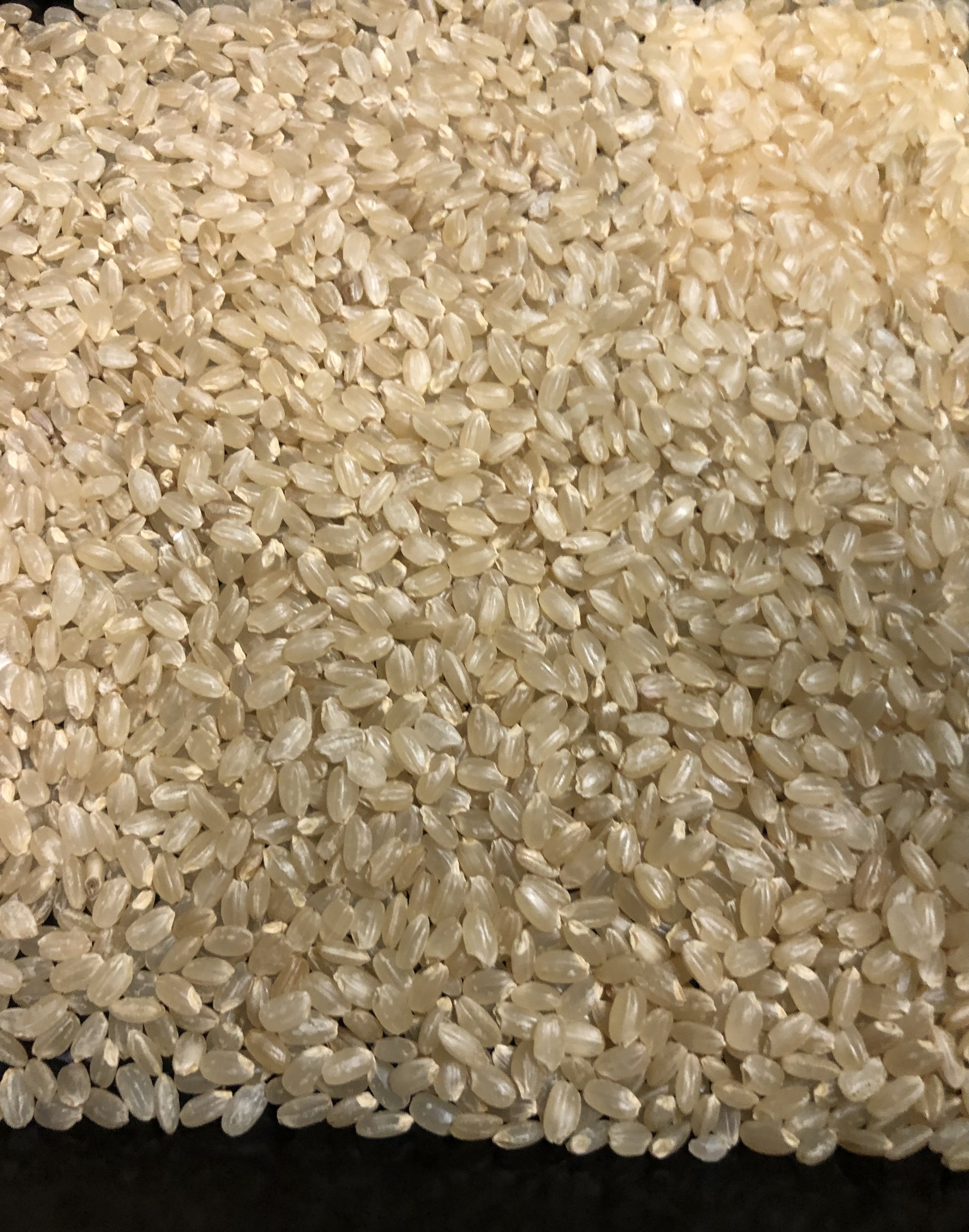 ゆうだい21令和5年産 玄米5ｋｇ｜米・穀類の商品詳細｜ポケット