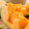 果汁たっぷり！茨城県旭村産クインシーメロン（赤肉）【特秀】1玉