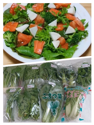 みんなの投稿の画像