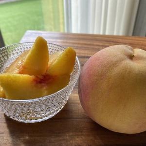 まるでマンゴー⁉️甘さ溢れる❗️朝採り黄金桃‼️
