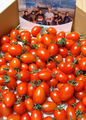 みんなの投稿の画像