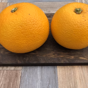 八朔　/福岡県産【農薬、肥料不使用】自然栽培の果樹園で育った八朔（はっさく）