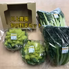 【川上農園】旬の野菜セット3種　
