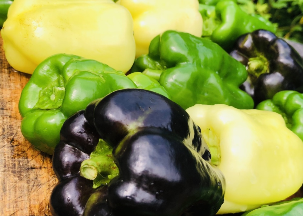 数量限定 2色ペッパー美味しさ2倍 旨パプリカ 旨ピーマン 自然栽培農薬不使用 農家漁師から産地直送の通販 ポケットマルシェ