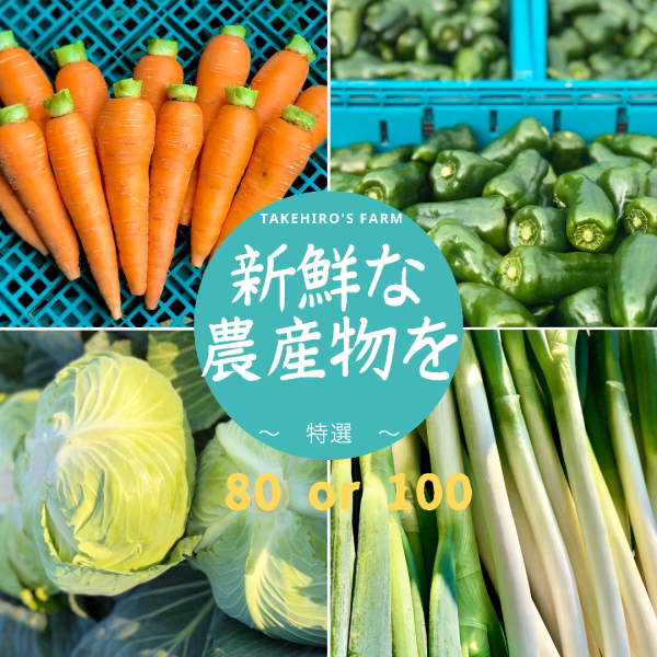 ！特選！【季節のお野菜おまかせセット】写真にはその季節の旬のものを載せています