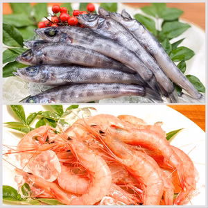 【ポケマル夏ギフト】フワッ食感のメヒカリ中と刺身でも丸ごとと食べてもトロえび中小